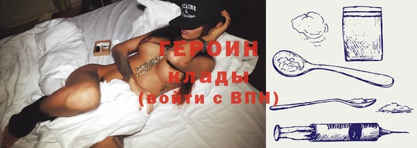 индика Арсеньев