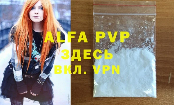 индика Арсеньев
