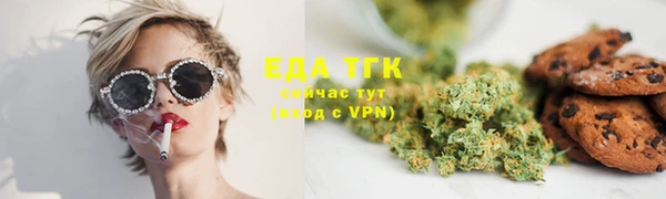 индика Арсеньев