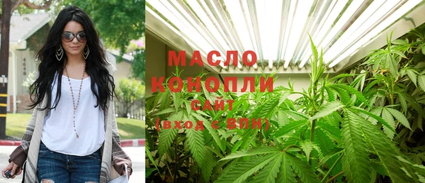 индика Арсеньев