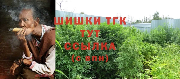 спиды Аркадак