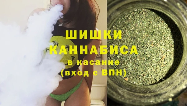 индика Арсеньев