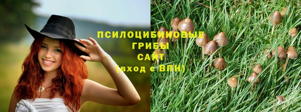 индика Арсеньев