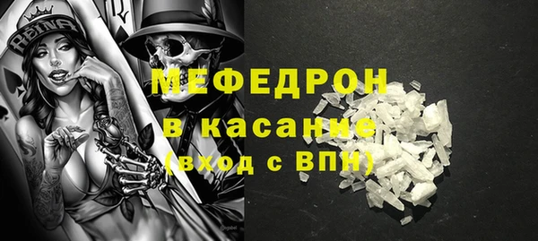 индика Арсеньев
