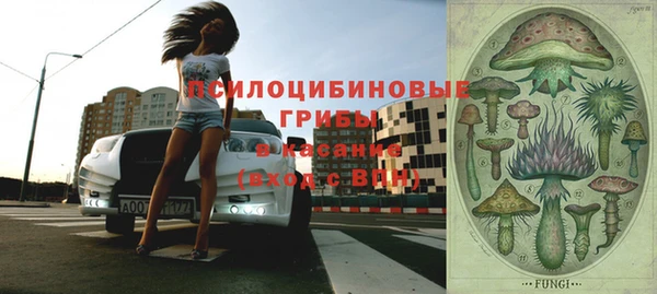 индика Арсеньев