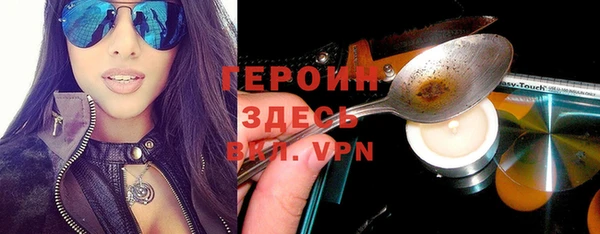 индика Арсеньев