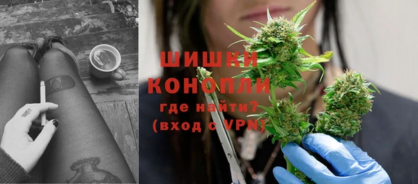 индика Арсеньев